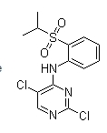 2,5-二氯-N-[2-[(1-甲基乙基)磺酰基]苯基]-4-嘧啶胺